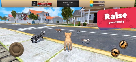 Cat Simulator 3D - Animal Life - Observe the delightful process of raising multiple kittens and the clear "Raise your family" call to action.