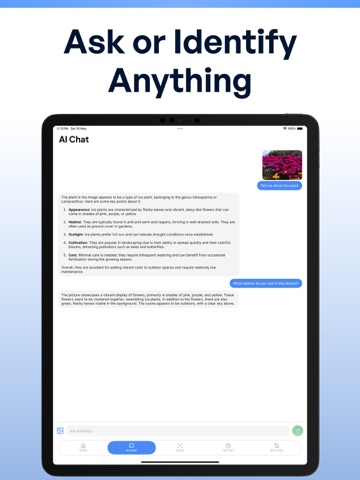 Lenzy for Google Lens AI iPad screenshot