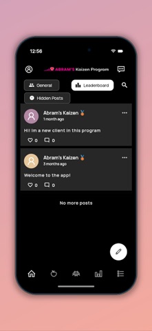 Abram’s Kaizen Program screenshot