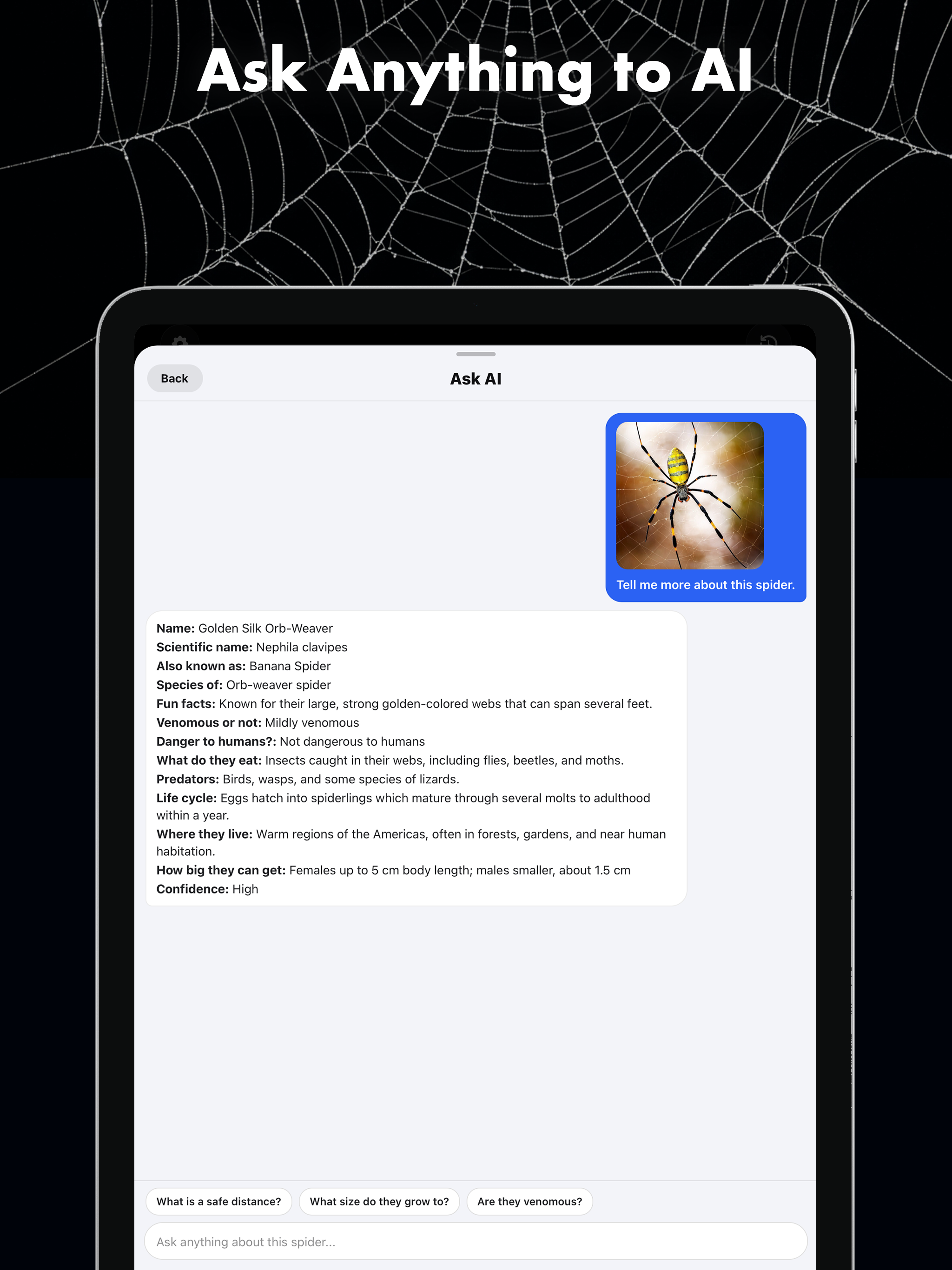 Spider Identifier: Bug Scanner screenshot 8