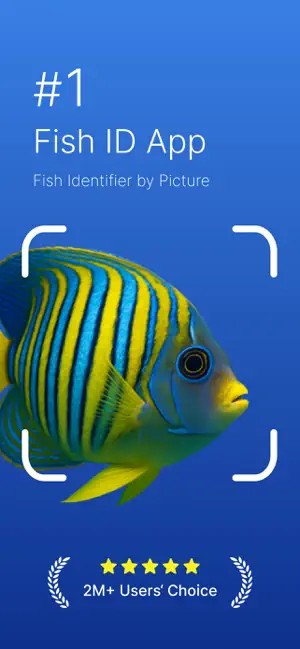Fish Identifier: Fishing App screenshot 1
