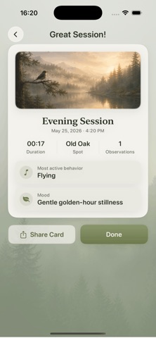 Bird Sit Spot App Store preview screenshot 9