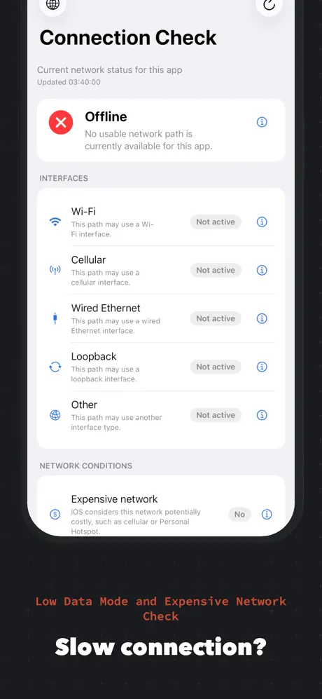 Connection Check screenshot 2