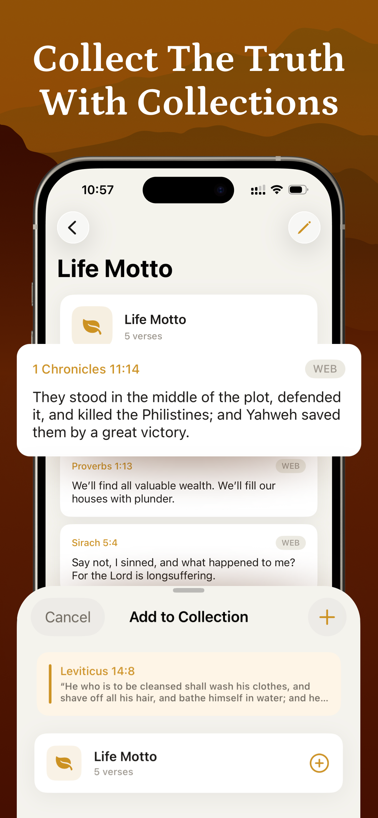 Bible Daily: Verse & Scripture screenshot 5