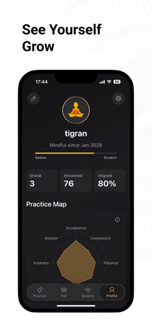 Choose Like Buddha: Mindful screenshot