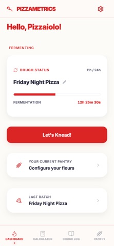 Pizzametrics Screenshot 3 of 9