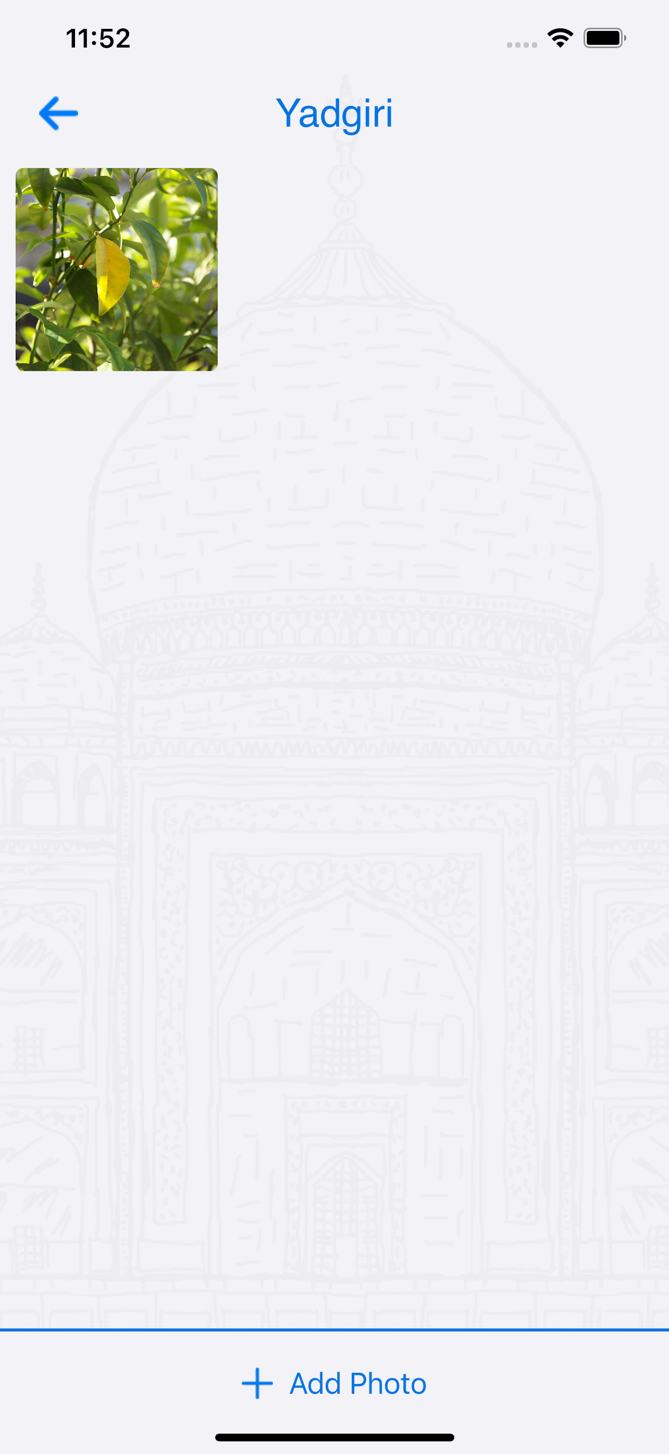 Yadgiri