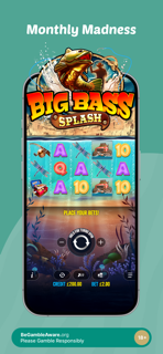 Zebra Bingo - Online Casino screenshot 4