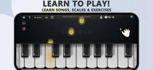 Accordion Piano Cassoto screenshot 2