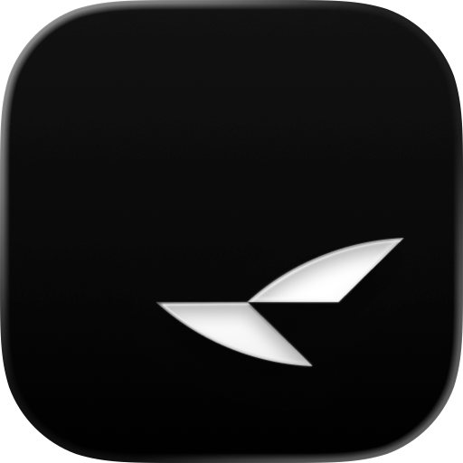 RayNeo AI