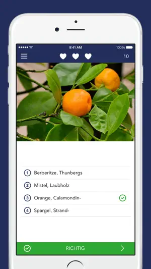 Früchte und Beeren PRO screenshot 4