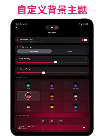 助乐 - 专属音乐助手 iPad screenshot 6
