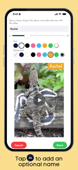 My Photo Story iPhone screenshot 5