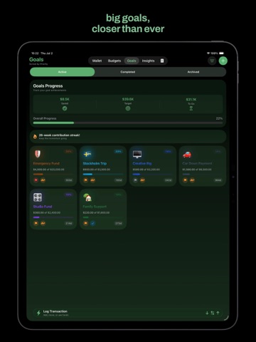 Richual: Track Budget & Wallet App Store preview screenshot 12