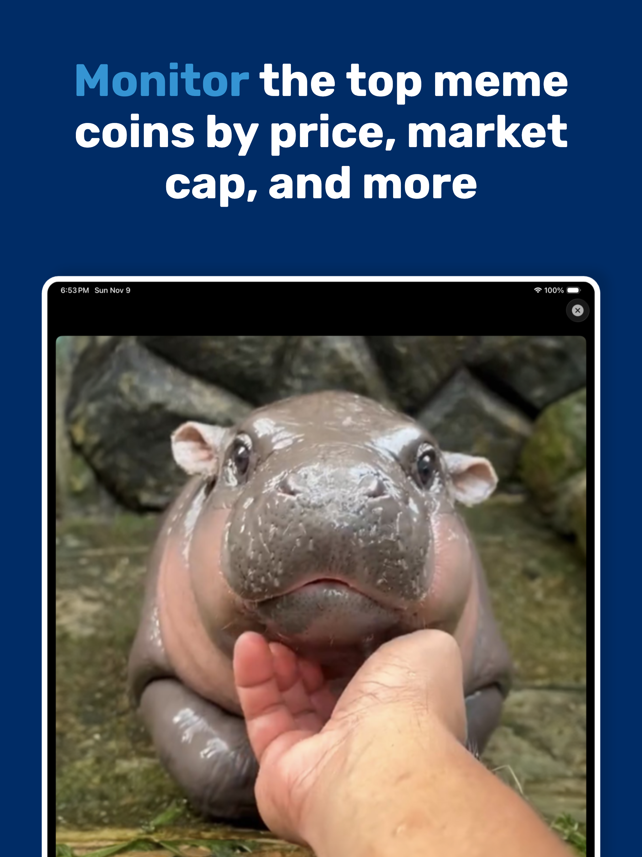 Memescreener: Coin Tracker