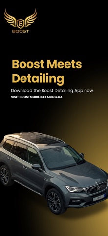 Boost Detailing Screenshot 1 of 10
