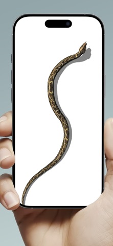 Mouse on Screen Scary Joke iPhone screenshot
