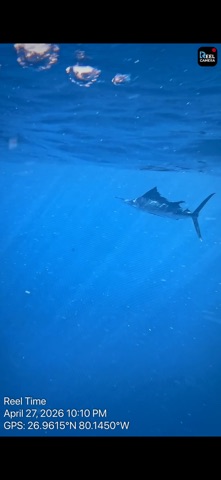 The Reel Time Camera App Screenshot 4 of 5