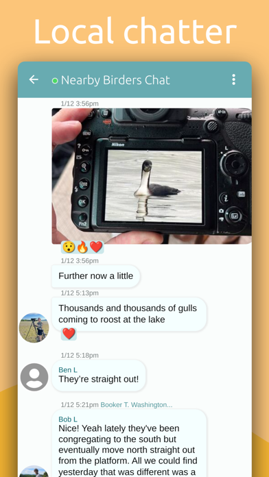 BirdingApp. Screenshot