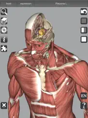 3d anatomy learning ipad bildschirmfoto 4