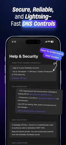 PapiDNS – Manage External DNS iPhone screenshot