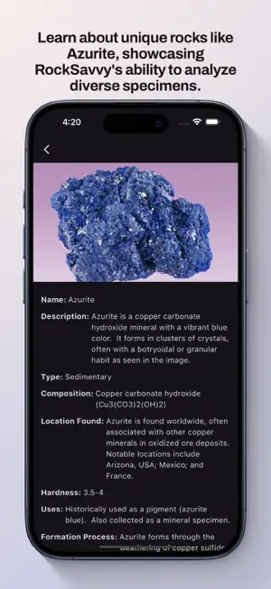 RockSavvy screenshot 3