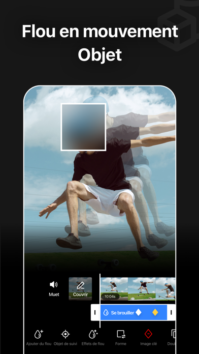 Screenshot #3 pour Floutage Vidéo - Mosaique Flou