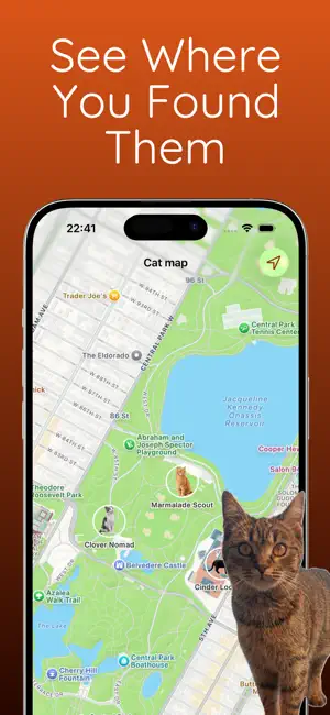 CatStamp: Cat Collector Game screenshot 4