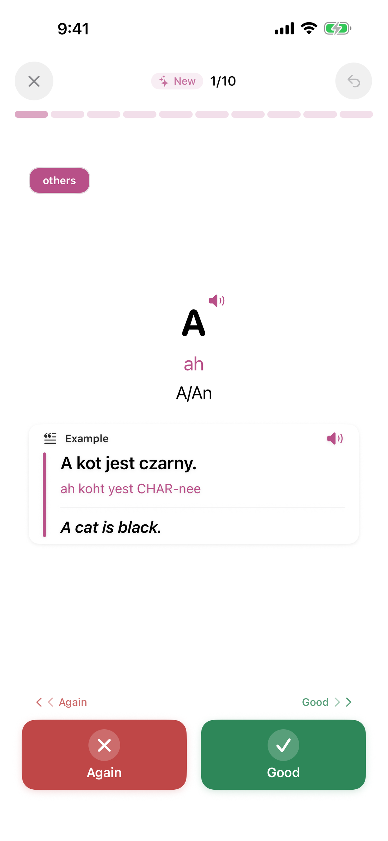 Learn Polish Vocabulary Words screenshot 5