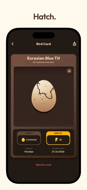 Birder - Bird Identifier screenshot 4 of 5