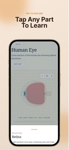 DiagramIQ Screenshot 2 of 6