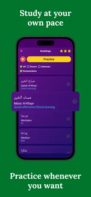 Learn Arabic (Beginners) screenshot 3