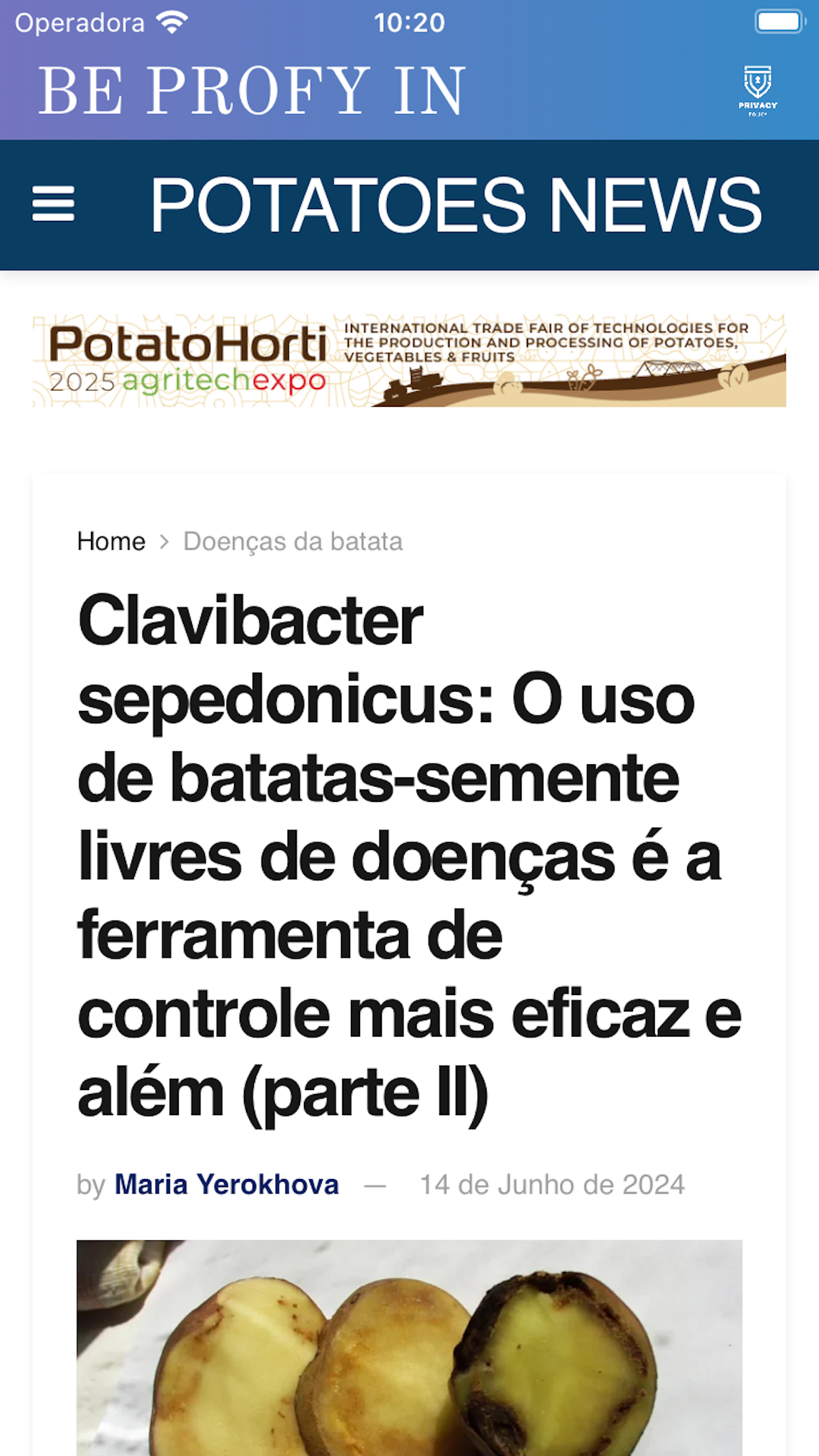 POTATOES NEWS