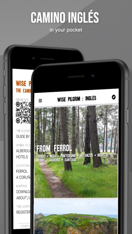 Wise Pilgrim Camino Inglés