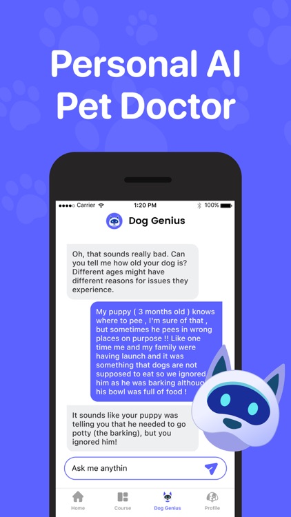 Dog Translator & Training