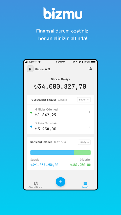 Bizmu Screenshot