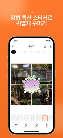 강화네컷 강화도 여행 네컷 screenshot