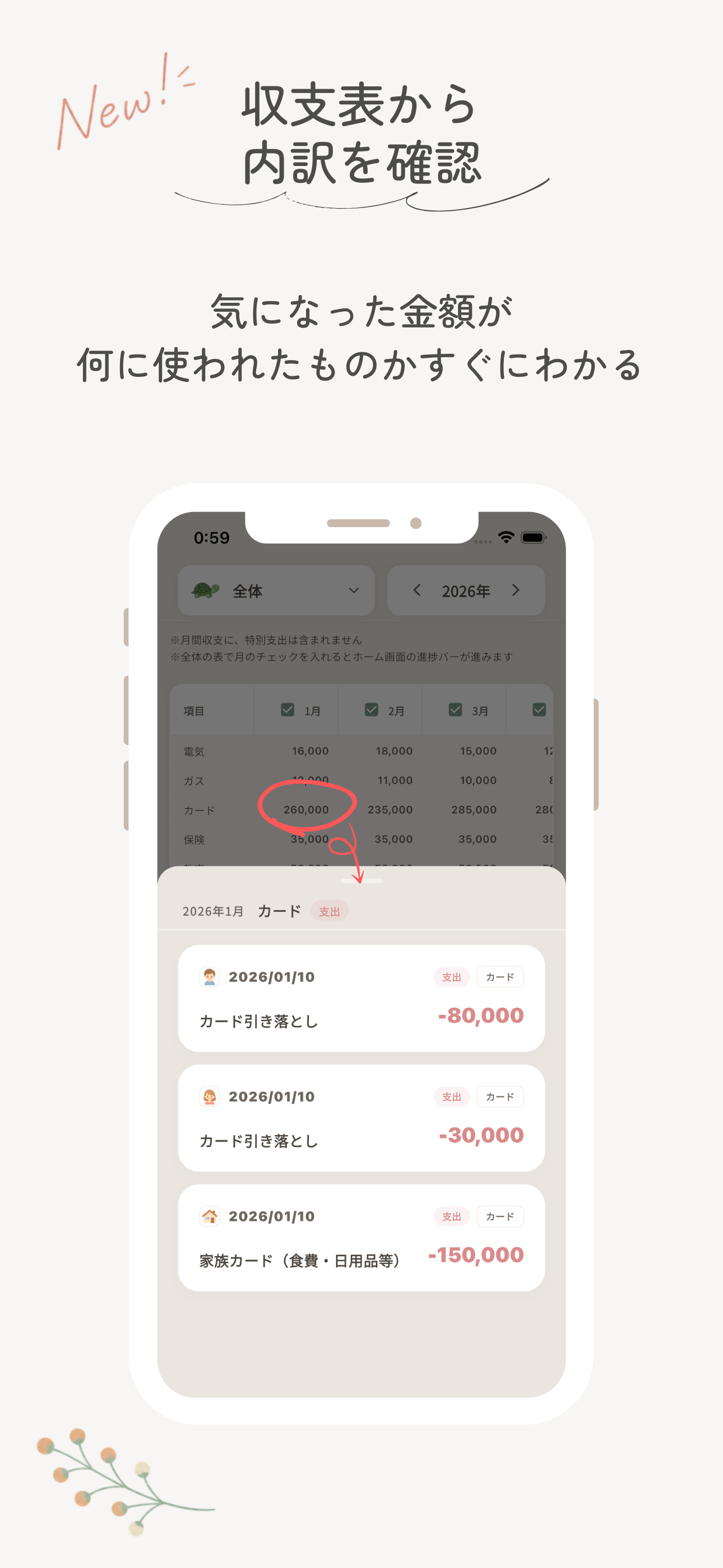 年いち家計簿 – 年に一度のおうち決算 screenshot 7