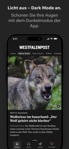 WP News screenshot