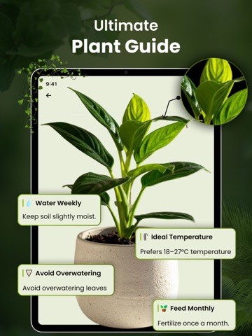 Plant Identifier - Leafio iPad screenshot
