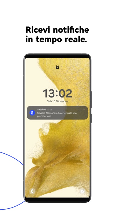 Skipres Business screenshot-3