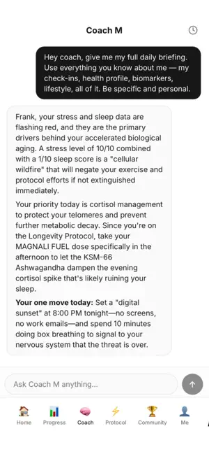 Magnali screenshot 4