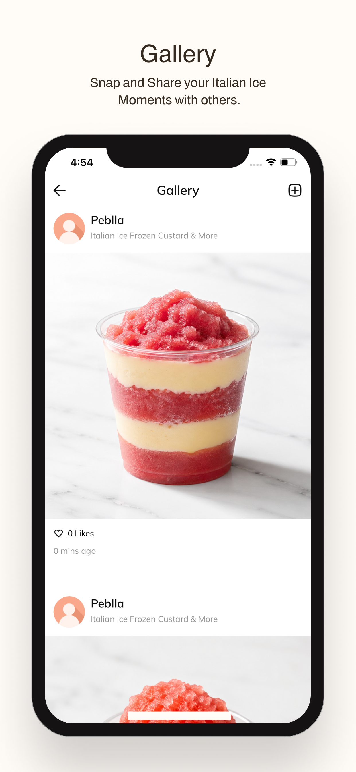 Italian Ice