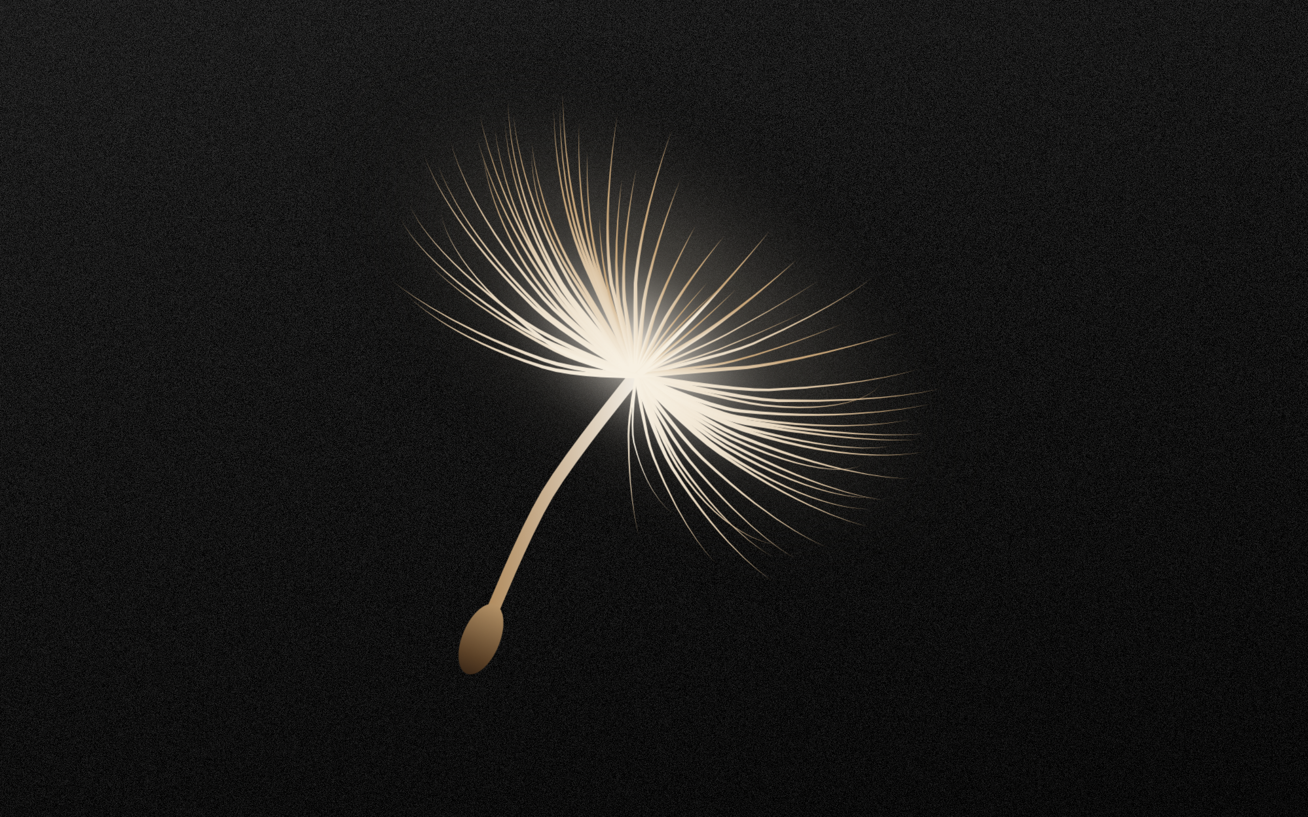 Dandelion: Write and Let Go
