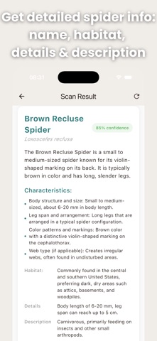 Spider Identifier: AI Scan screenshot