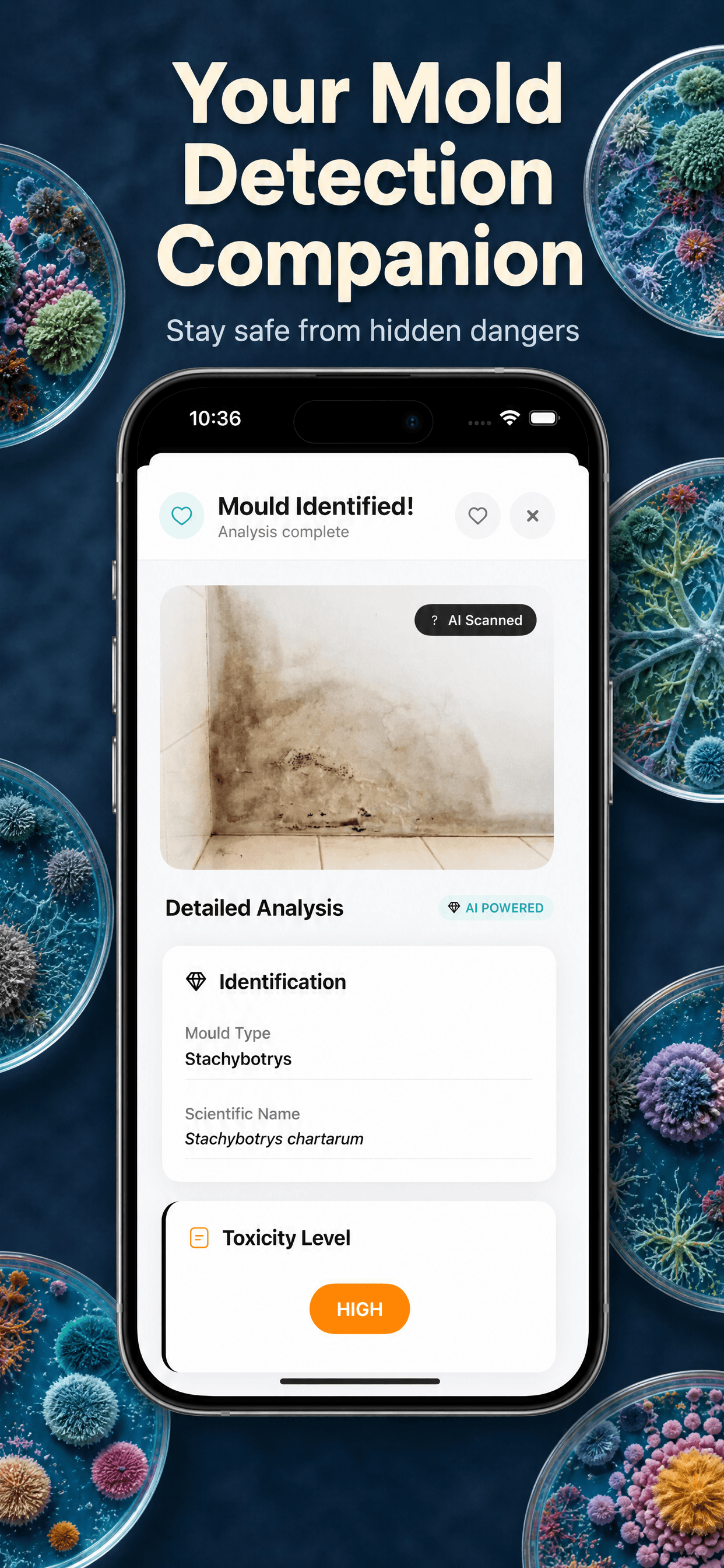 Mould Identifier | AI Scanner screenshot 2