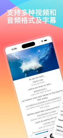 100LS播放器：视频、MP3 screenshot