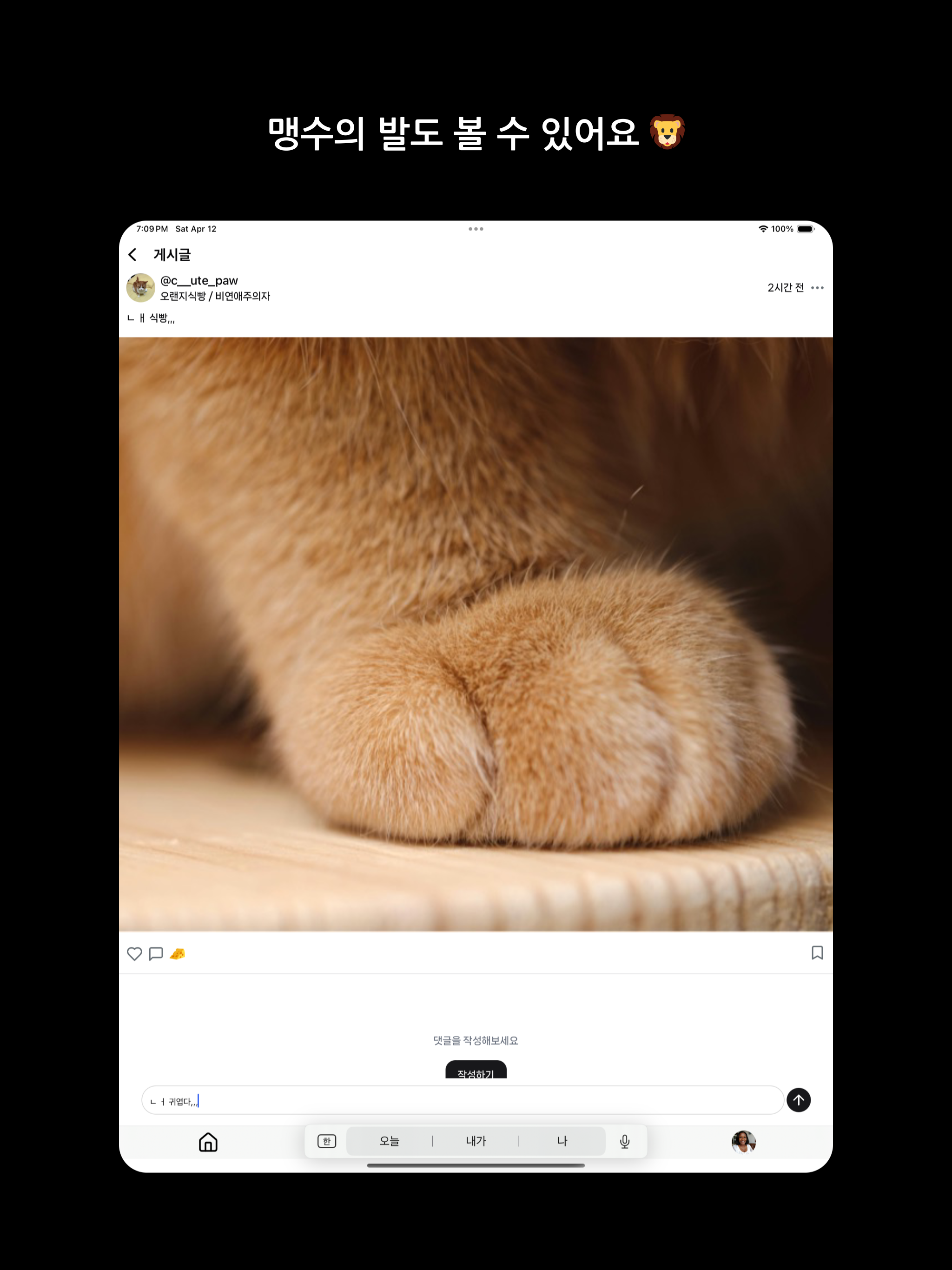 온리펫츠 screenshot 6