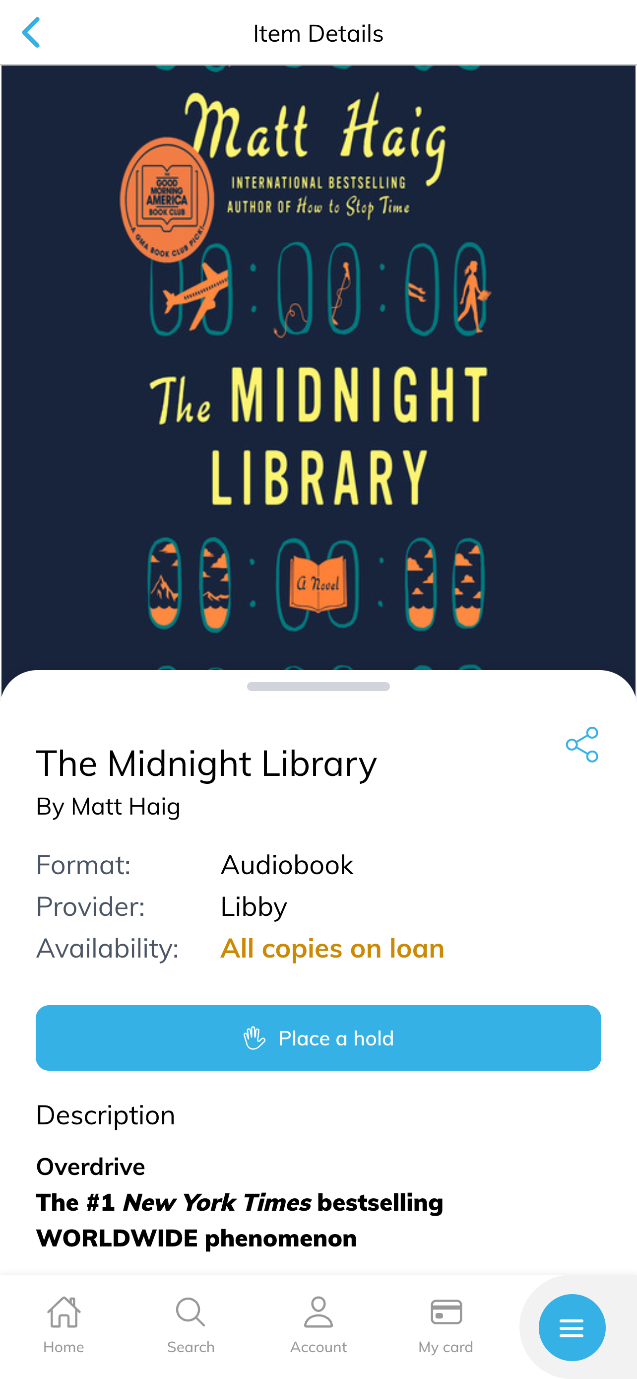 NMB Lafe Allen Public Library screenshot 4