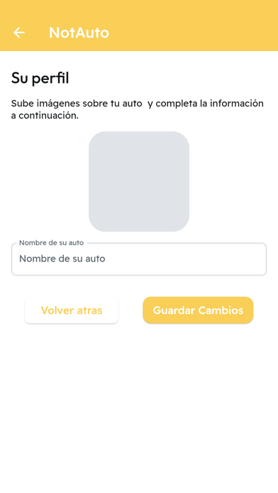 NotAuto Screenshot